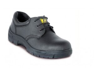 botin puelche 1